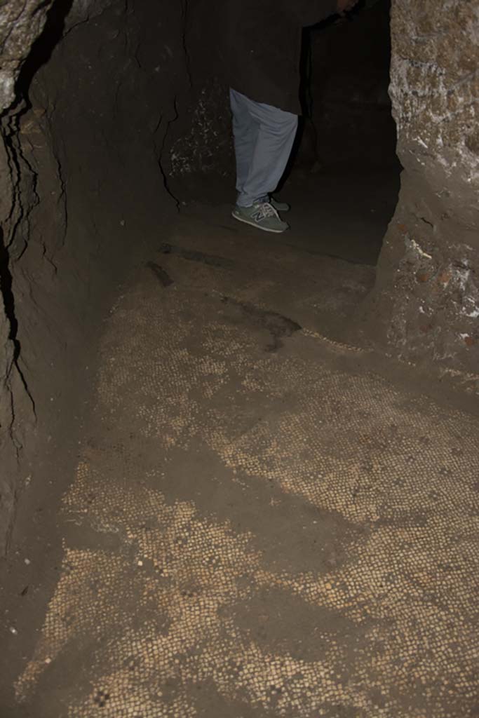 Villa dei Papiri, March 2019. Flooring in Bourbon tunnel.
Foto Annette Haug, ERC Grant 681269 DÉCOR.